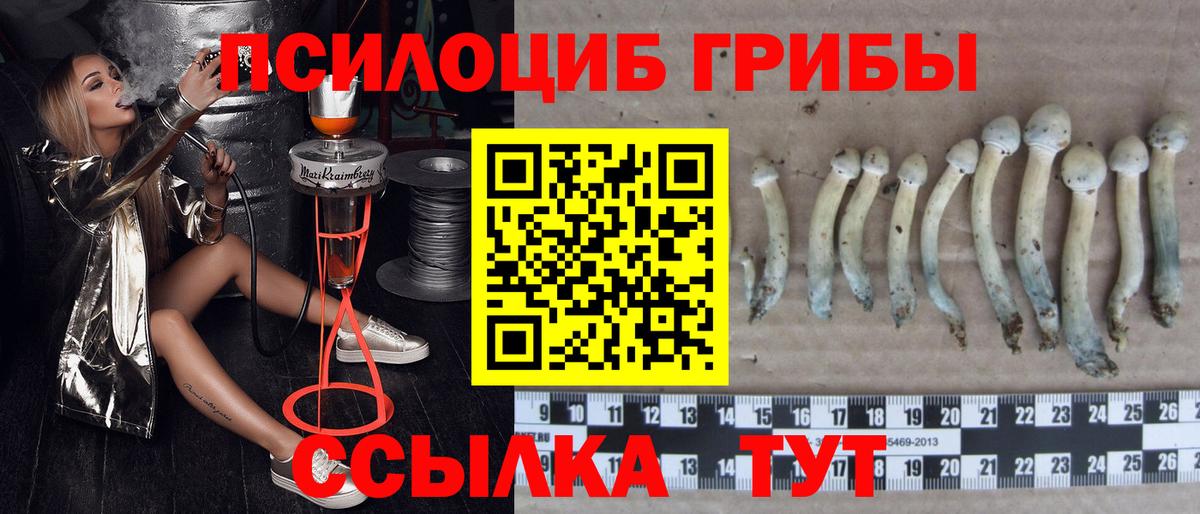Ейск  Галлюциногенные грибы мухоморы  Вход с VPN 